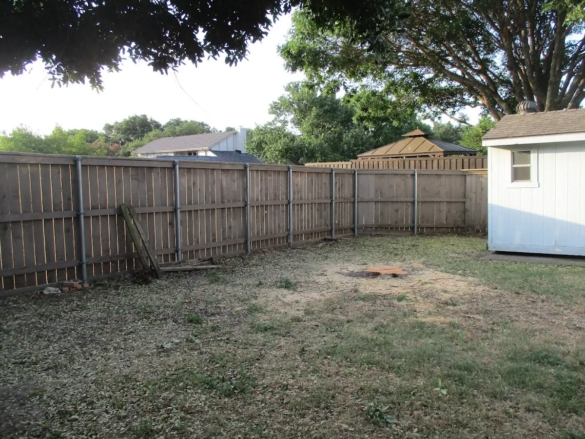 Cleared yard after professional tree removal in Prairie Creek